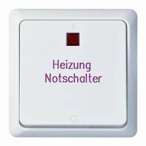 Elso 251220 Kontroll-Ausschalter 2polig beleuchtet - Smart Home Schalter mit 16A, ideal für die Renovierung und ausgestattet mit einer praktischen Schraubklemme für einfache Installation.