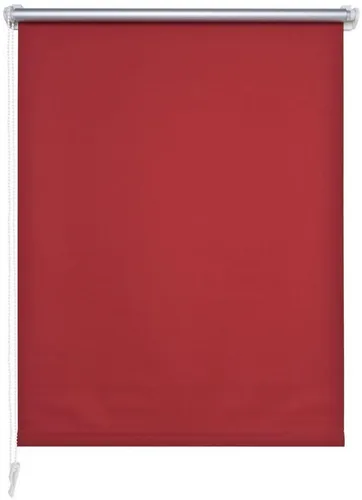 Seitenzugrollo, Liedeco, verdunkelnd, ohne Bohren, Klemmfix