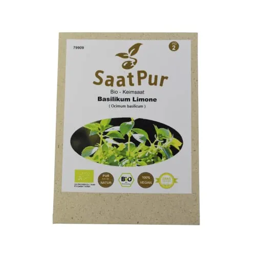 Bio Sprossen Samen Basilikum Limone - 100% Bio Keimsprossen - Microgreens mit hoher Keimkraft - Sprossensamen für Keimsieb - Lebensmittel Qualität
