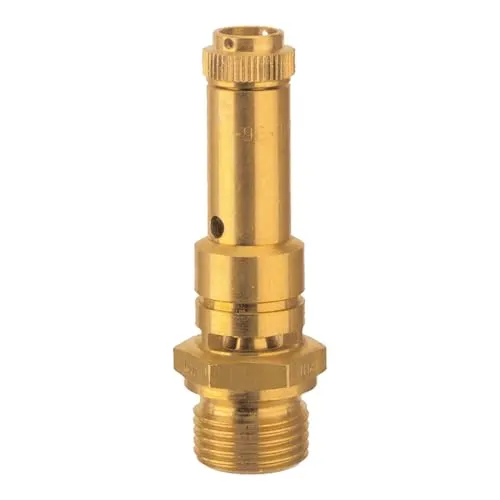 Riegler Sicherheitsventil DN 8 von Riegler