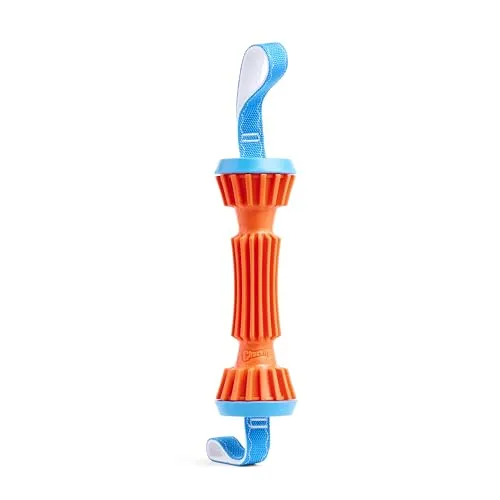 Chuckit! CH33028 Rugged Bumper Large - 25 cm, knalliges Orange für hohe Sichtbarkeit und ideal für Apportierspiele im Wasser