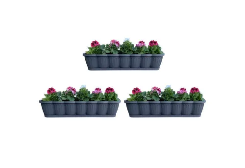 Hossi's Wholesale 3er Set Blumenkasten 80cm mit Wasserspeicher - Praktisches 3er Set Blumenkästen in Anthrazit, ideal für Balkon und Garten. Inklusive Bewässerungsuntersetzer für gleichmäßige Feuchtigkeitsversorgung. Wetterfest und langlebig für ganzjährigen Einsatz.