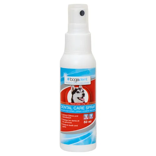 Bogar bogadent Dental Care Spray 50 ml, Zahnpflege-Spray, UVP 9,99 EUR, NEU