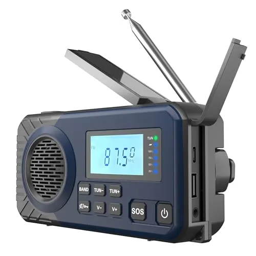 Radios bis 50 Euro von Acta Berg