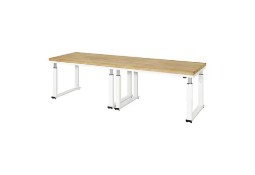 Rau Werkbank Serie adlatus 600 - Elektrisch höhenverstellbar - Werkstatteinrichtung mit 4 cm starker Buche-Massiv-Platte, ideal für ergonomisches Arbeiten dank elektrischer Höhenverstellung und stabiler Bauweise. Made in Germany.
