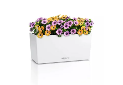 Lechuza Blumenkasten Balconera Color 40 Weiß mit Wasserspeicher - Garten-Zubehör mit integriertem Bewässerungssystem, ideal für Balkone und Terrassen, wetterfest und UV-beständig für ganzjährige Nutzung.