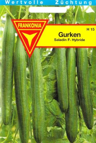 Gurke, Saladin F1, Hybride, ca. 8 Samen