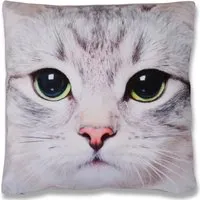 Bestlivings Kissenhülle Fotodruck 40 x 40 cm Katze Ohne Füllung