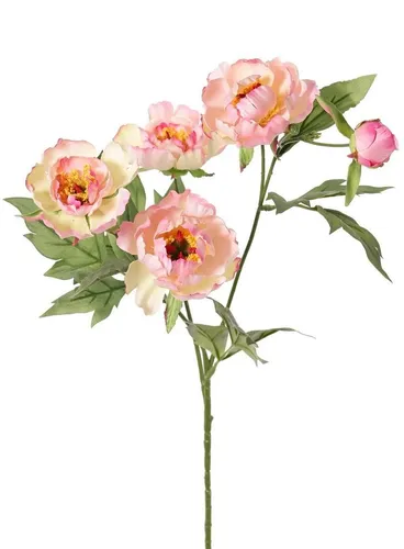 artplants Künstlicher Zweig Pfingstrose LARDUAN, rosa-weiß, 60cm, Ø7cm