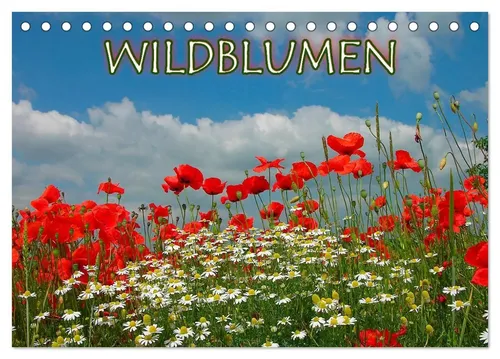 Bildagentur Geduldig | Wildblumen 2026 (Tischkalender 2026 DIN A5 quer),...