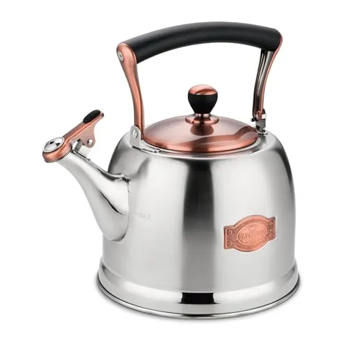 3LEdelstahl-Wasserkocher für Camping, Tee in Teekanne mit Griff, Induktionskochfeld und Gasherd, pfeifende Küche