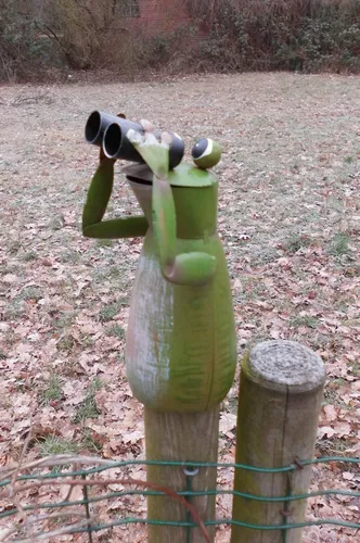 Zaunfigur Zaunhocker Gartendeko witziger Frosch m. Fernglas 16cm