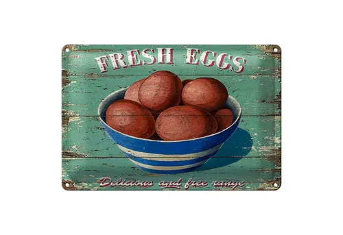 Roomando Metallschild Retro 18x12cm fresh eggs Frische Eier