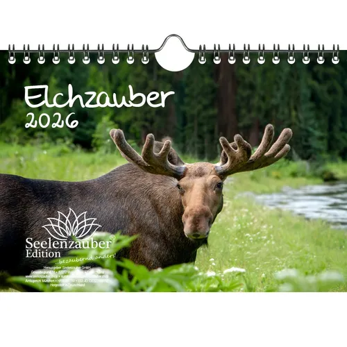 Elchzauber Elche DIN A5 Kalender für 2026 - Seelenzauber