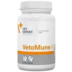 VETEXPERT VetoMune 60 Kapseln - Tiergesundheit: Unterstützt die Immunität von Hunden und Katzen durch unspezifische Stimulation der humoralen und zellulären Abwehr.