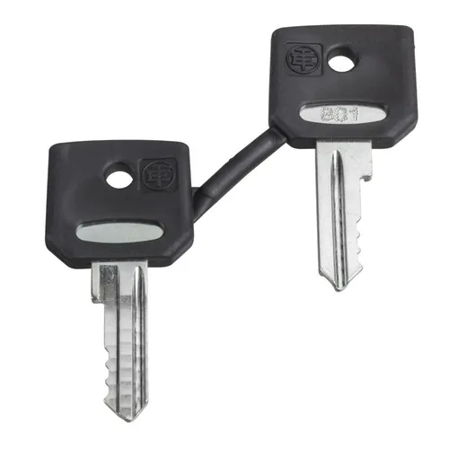 Schneider Electric Ersatzschlüssel ZBDA185 (VE2) Zubehör Ersatzschlüssel