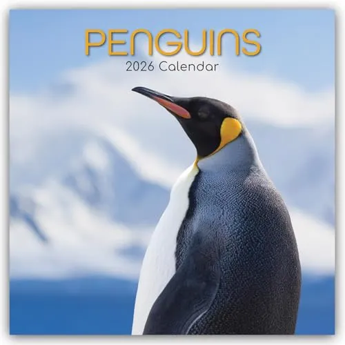 TGSC Pinguine Kalender 2026 – Familien-Quadratwand - Der TGSC Pinguine Kalender 2026 bietet 16 Monate voller schöner Pinguin-Bilder. Mit großem Raster für mühelose Planung und Organisation in Büro und Zuhause. Perfekt für Tierliebhaber!
