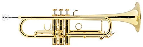Lechgold TR-18L Bb-Trompete lackiert - Klarlackierte Trompete in Bb - Aus Messing - Schallbecher-Ø: 124 mm - Edelstahl-Ventile - ML-Bohrung: 11,68 mm - Inkl. Leichtkoffer