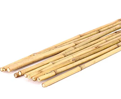 Tonkin Bambusrohr 200cm Natur Durch. 1,4 bis 1,6cm von bambussi.com - 1 Stück