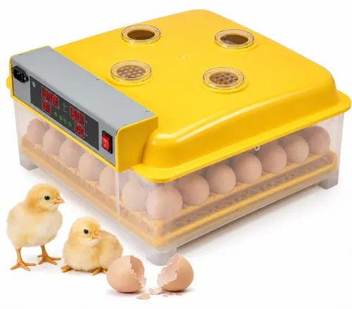 Mucola Reptilieninkubator für 48 Eier – Automatische Brutmaschine mit Temperatursteuerung - Hochwertiger Reptilieninkubator für bis zu 48 Eier. Mit automatischem Wendesystem und präziser Temperaturkontrolle. Ideal für Züchter und Hobbyisten. Robustes Design für eine lange Lebensdauer.
