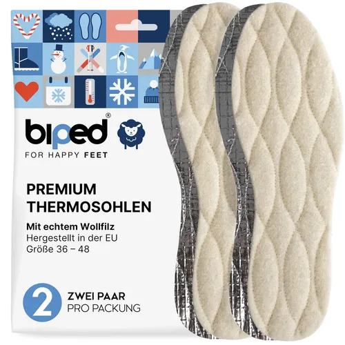 Paar Winter Einlegesohlen von Biped
