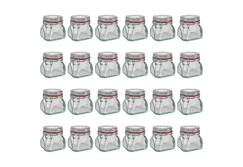 Wellgro Vorratsglas Einmachglas mit Bügelverschluss - 550 ml (24-tlg) - Vorratsgläser mit Bügelverschluss, ideal für die luftdichte Aufbewahrung von Lebensmitteln. Hochwertige Qualität, umweltfreundlich und perfekt zum Verschenken von Selbstgemachtem.