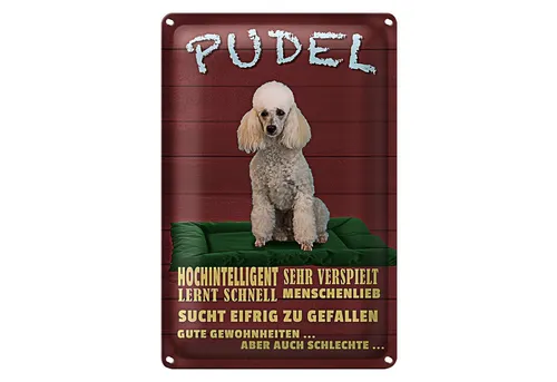 Roomando Metallschild Spruch 12x18cm Pudel hochintelligent lieb Hund
