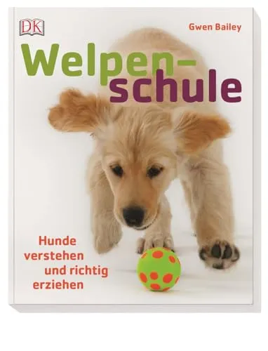 Welpenschule: Hunde verstehen und richtig erziehen