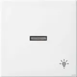 Busch-Jaeger 1789 LI-914 Wippe Kontr Licht