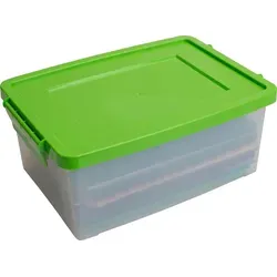 Betzold Aufbewahrungsbox, 16 x 39,5 x 27,5 cm, weiß-transparent, Grundfarben, Farbe: grün, Setgröße: 10 Stück - Weiß