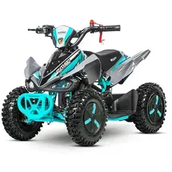 Quads bis 500 Euro von Menila Import