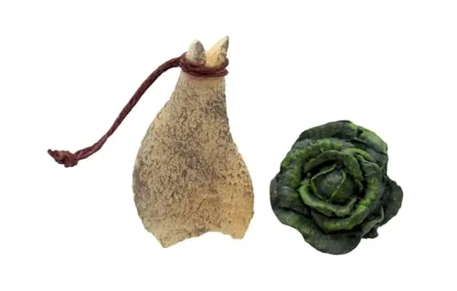 ZauberDeko Wichtel Zubehör Miniatur Salat Ø 2,5cm Schinken 4cm Wichteltür Krippe 2er Set