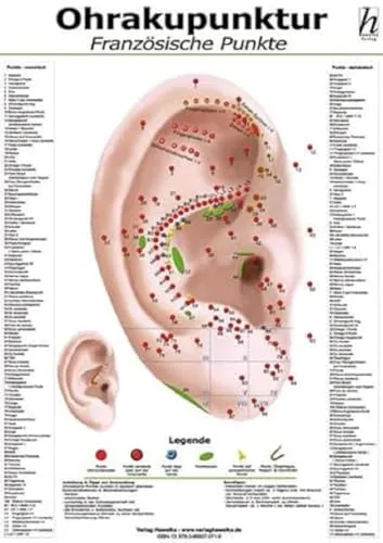 Ohrakupunktur Mini-Poster - französische Punkte DIN A4