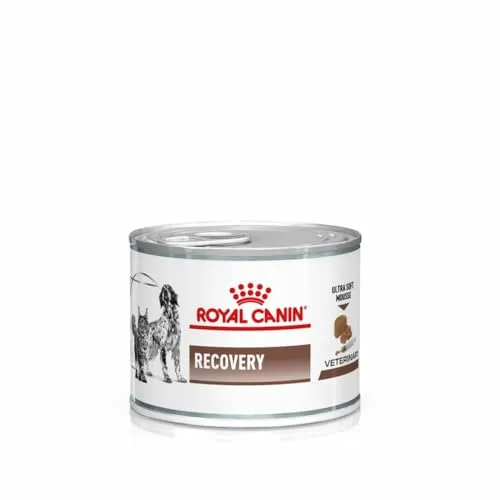 Royal Canin Recovery 12x195 g - Tierärztliches Hundefutter zur Förderung der Genesung, mit hohem Energie- und Proteingehalt für gesunde Muskelmasse während der Erholung.