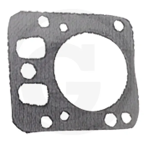 Briggs u. Stratton ZYLINDERKOPFDICHTUNG  | 697230 | 024847017960