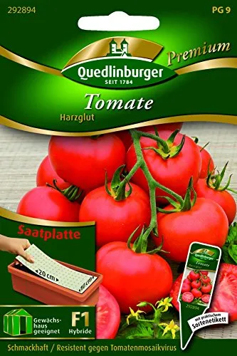 SP Tomaten Harzglut - Solanum lycopersicon QLB Premium Saatgut Tomaten