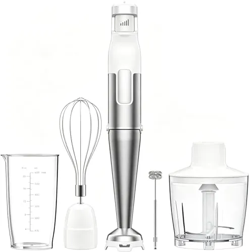 BESROY Stabmixer Set 5 in 1, 1100W