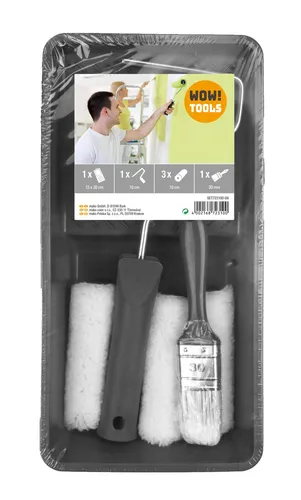 Renovier-Set PLUS+ 6-teilig Farbwanne Rollerbügel Ersatzwalzen Lack-Flachpinsel