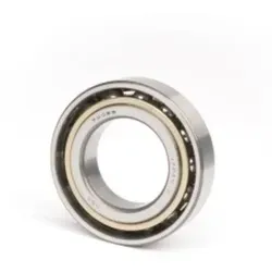 SCHKG 7202 BEP ID 15mm AD 35mm Breite11mm SKF