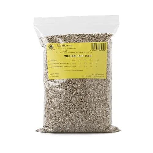 R&R SHOP – Samen für widerstandsfähigen Rasen, Weidelgras, schnell wachsend und begehbar, geeignet für alle Geländearten (900gr - 35mq)