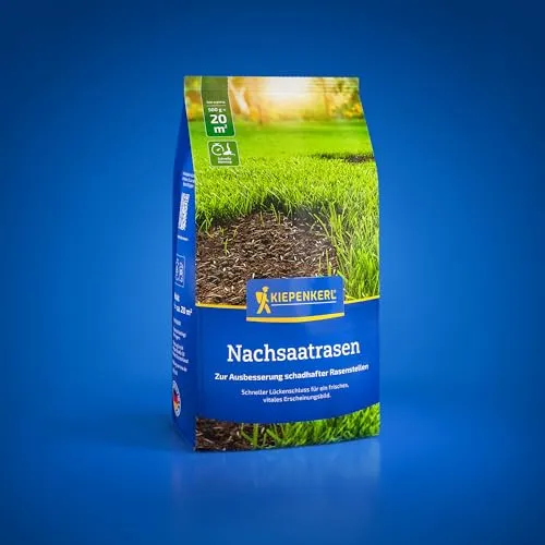 Kiepenkerl Nachsaat-Rasensamen 1085251, Rasensaat | Dichte Rasennarbe, Grassamen, Saatgut Made in Germany