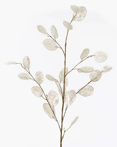 artplants.de Dekozweig Lunaria Zweig BUELNA, Creme, 105cm - Kunstzweig/Silberblatt künstlich