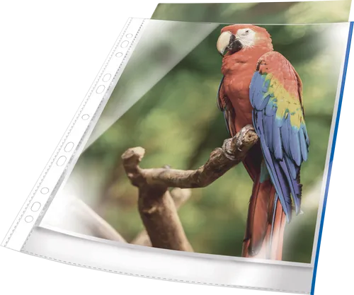 DURABLE 265506 - Prospekthüllen, A4, glasklar, blau, 25 Stück