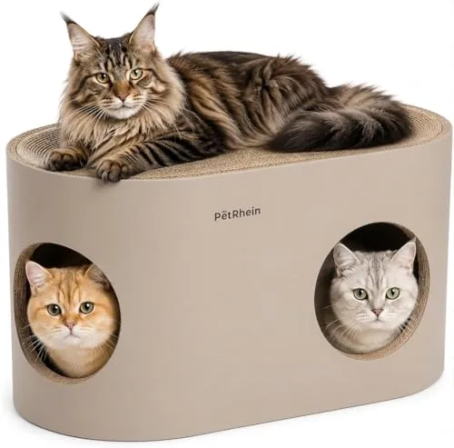 PetRhein Safari Lodge XXL Kratzhaus 3-in-1 für Katzen