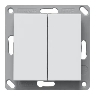 Gira 242203 Funk Wandsender EnOcean 2fach - System 55 Reinweiß, batterielos und umweltfreundlich, ideal für Smart Home Anwendungen