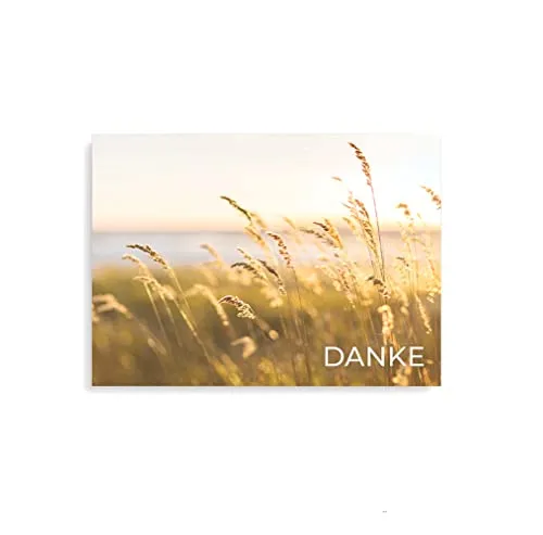 Friendly Fox Dankeskarten Feld, 12x Dankeschön Karten romantisch Landliebe, DIN A6 Klappkarte Danke mit Briefumschlag