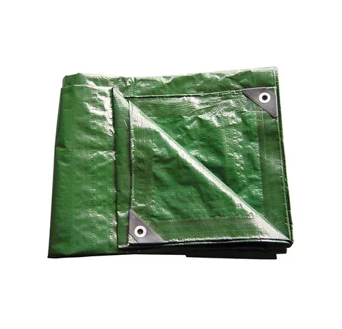 KesTek Schutzplane PE Gewebe-/Abdeckplane grün 90 g/m² 2x3 mtr (1-St)