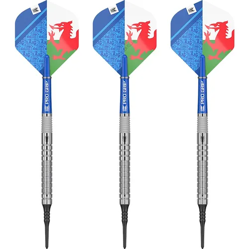 Target Softdarts Levy Williams The Prince of Wales Gen 1 90% Tungsten Dartpfeile