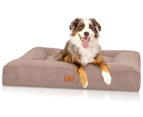 Knuffelwuff orthopädisches Hundebett Sofia 100x80cm Beige in beige von Knuffelwuff