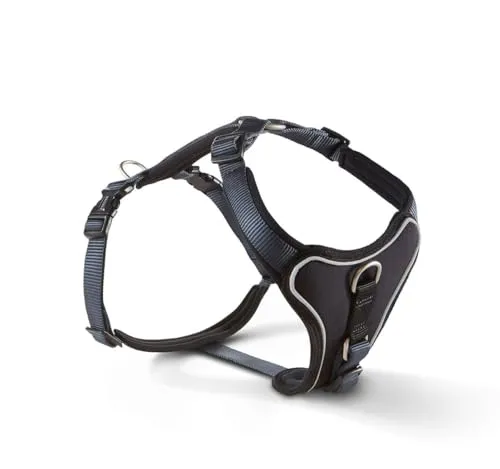 Wolters Geschirr Professional Comfort graphit/schwarz (Brustumfang 30 - 35 cm) - Hochwertiges Wolters Geschirr für Hunde, ideal für den täglichen Einsatz. Robuste Materialien sorgen für Komfort und Sicherheit. Perfekt für aktive Hunde und Ausflüge.